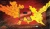Pokémon TCG: Team Rocket’s Moltres ex Ultra-Premium Collection